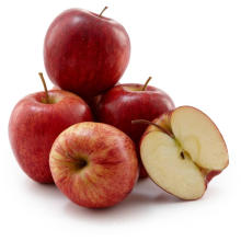 high quality fresh gala apple